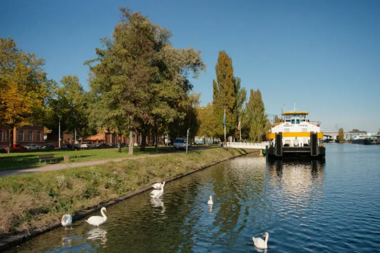 Le Bassin des Remparts, lieu mêlant nature et industrie, idéal pour inspirer un atelier d'écriture en plein air.